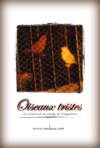 OTcard600.jpg